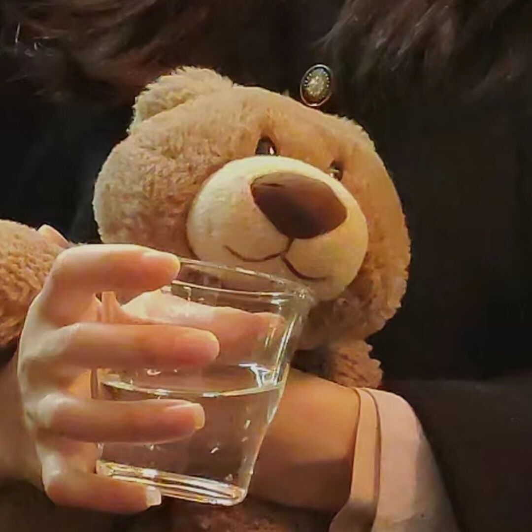 毛毛头像